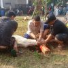Mushola Al-Muroniyah Lubang Buaya Jakarta Timur, Laksanakan Sholat Idul Adha