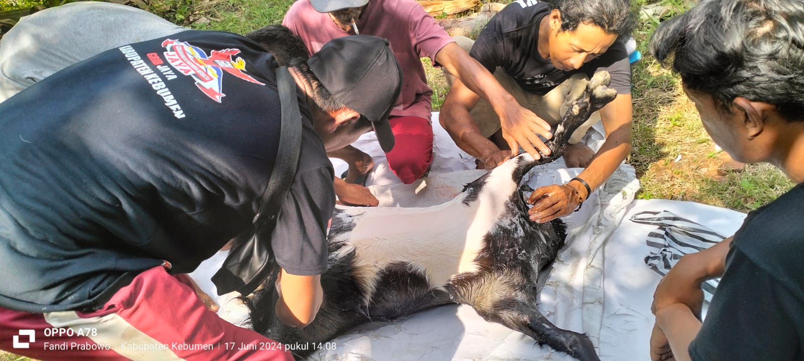Untuk Pertama Kali, Ormas GRIB Jaya Dpc  Kabupaten Kebumen Berkurban di Hari Raya Idul Adha 1445 H