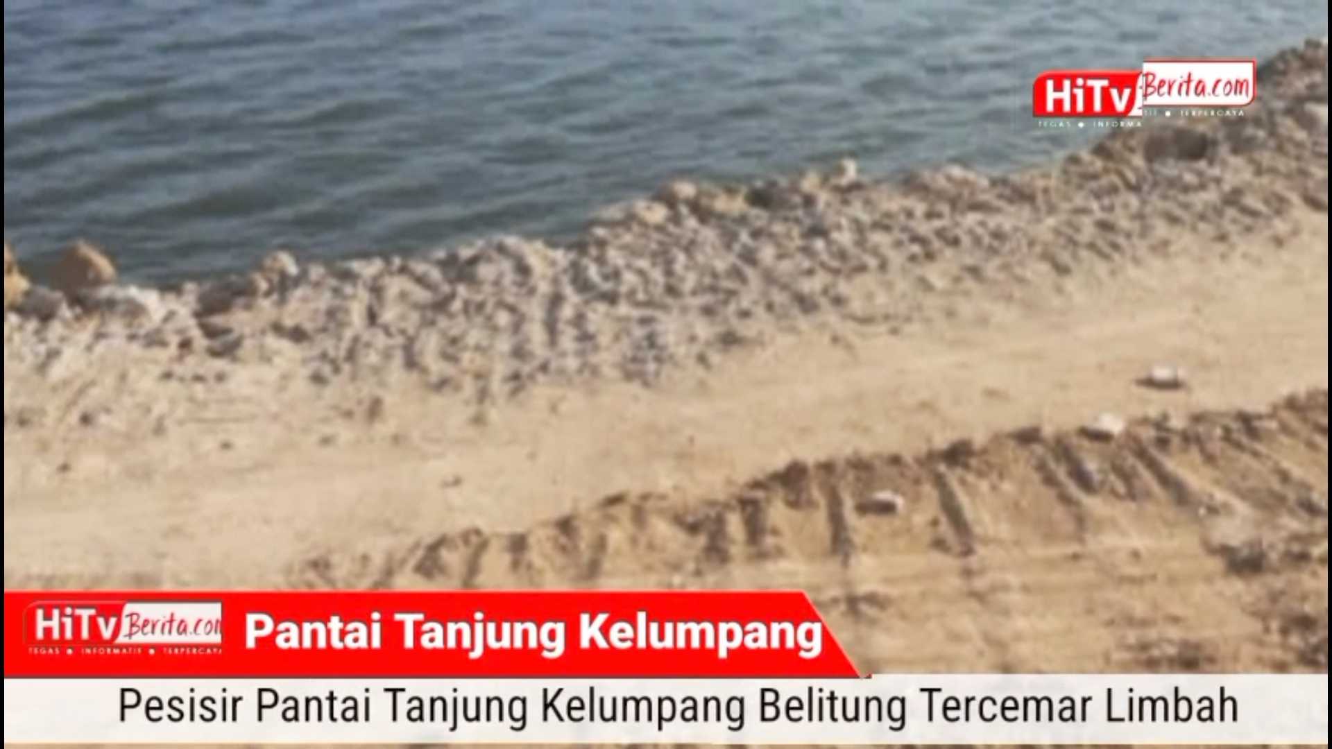 PT. Indo Makmur Bantah Cemari Pesisir Pantai Tanjung Kelumpang