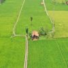 Dukung Program Ketahanan Pangan, DPUTR Purwakarta Pastikan Peningkatan Jaringan Irigasi