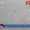 Dugaan Konspirasi Lintas Sektoral Sebabkan Hilangnya Pendapatan Pajak Sarang Burung Walet Di Belitung