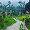 Dukung Program Ketahanan Pangan, Dispangtan Purwakarta Tingkatkan Jalan Usaha Tani