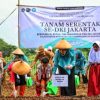 Pemprov DKI Jakarta Galakkan Urban Farming