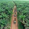 Penyegelan Lahan PT GAP: Pihak Perusahaan Tegaskan Semua Perizinan Sudah Sesuai Mekanisme!
