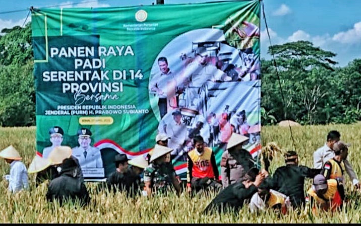 Pemkab Purwakarta Gelar Panen Raya Padi, Om Zein Targetkan Surplus Beras 100 Ribu Ton per Tahun