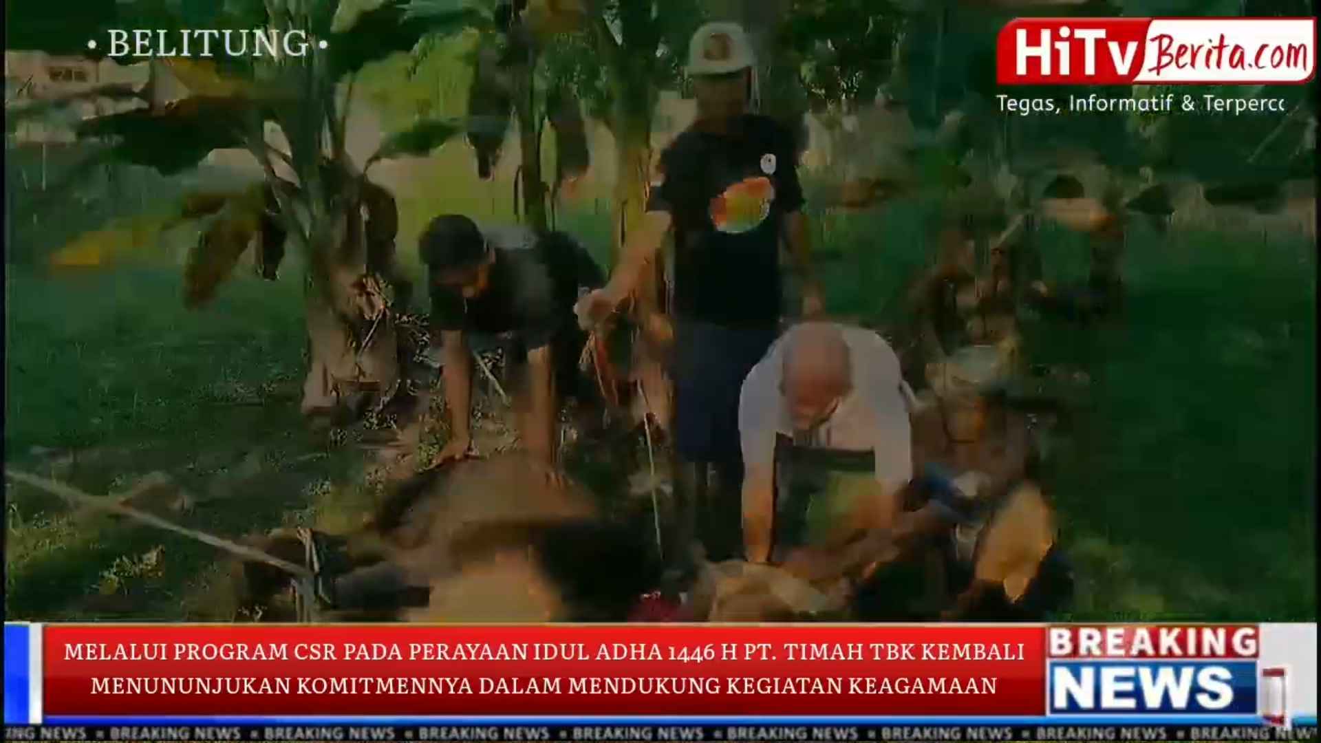 Melalui Program CSR Pada Perayaan Idul Adha 1446 H, PT. Timah Tbk Kembali Menunjukkan Komitmennya Dalam Mendukung Kegiatan Keagamaan Dan Meningkatkan Kesejahteraan Masyarakat