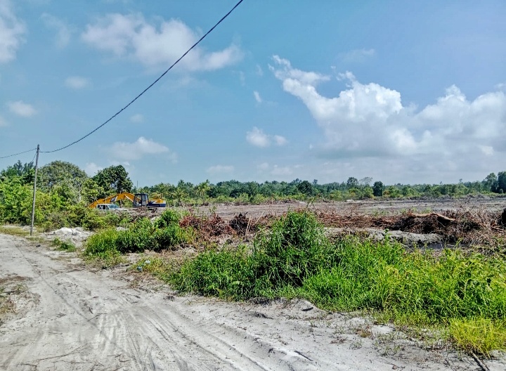 Diduga Langgar Tata Ruang, Kades Tanjung Harapan Terbitkan Surat Sporadik untuk Tambak Udang di Kawasan Wisata!