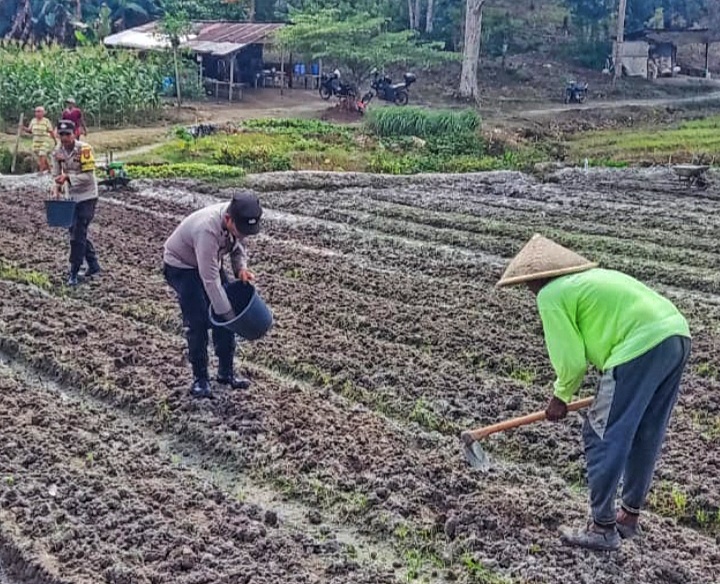 Polsek Dabo Singkep Tanam Jagung Dukung Ketahanan Pangan