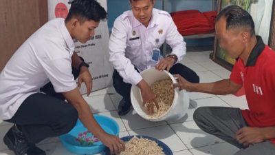 Giat Lapas Batang, Pemanenan Hasil Pertanian Bersama Warga Binaan