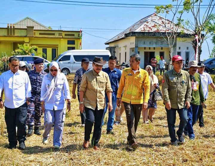 Barru Menuju Percontohan Pertanian Nasional