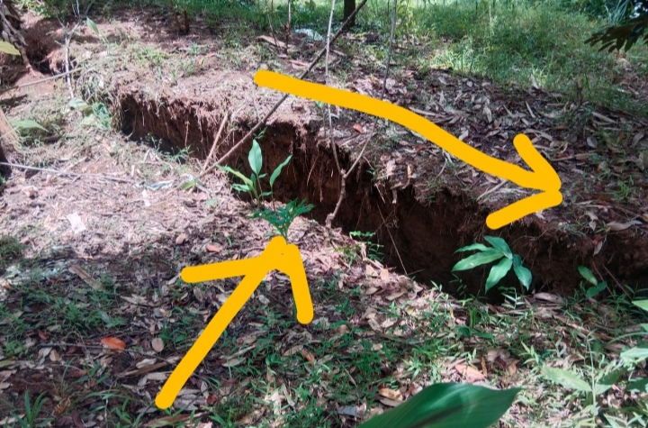 Bencana Tanah Bergerak Terjang Karangbanar Ketanda Sumpiuh, Belasan Rumah Rusak dan Puluhan Warga Mengungsi