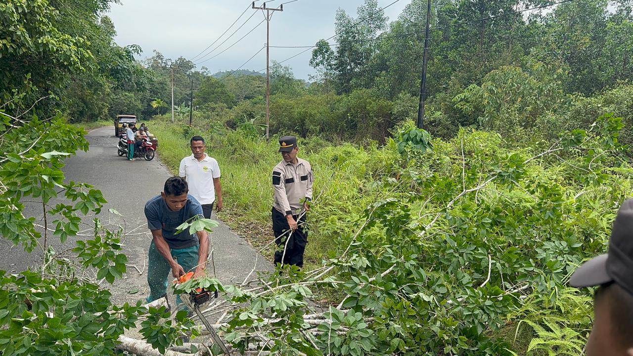 Polsek Singkep Barat Bersama Warga Tebang Pohon Rawan Tumbang