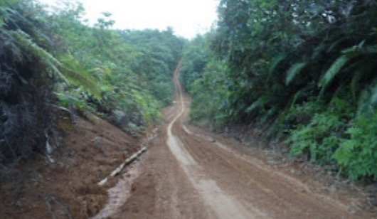 Kades Tumbang Baraoi Harap PT Dwimajaya Utama Dukung Sidang Sinode GKE