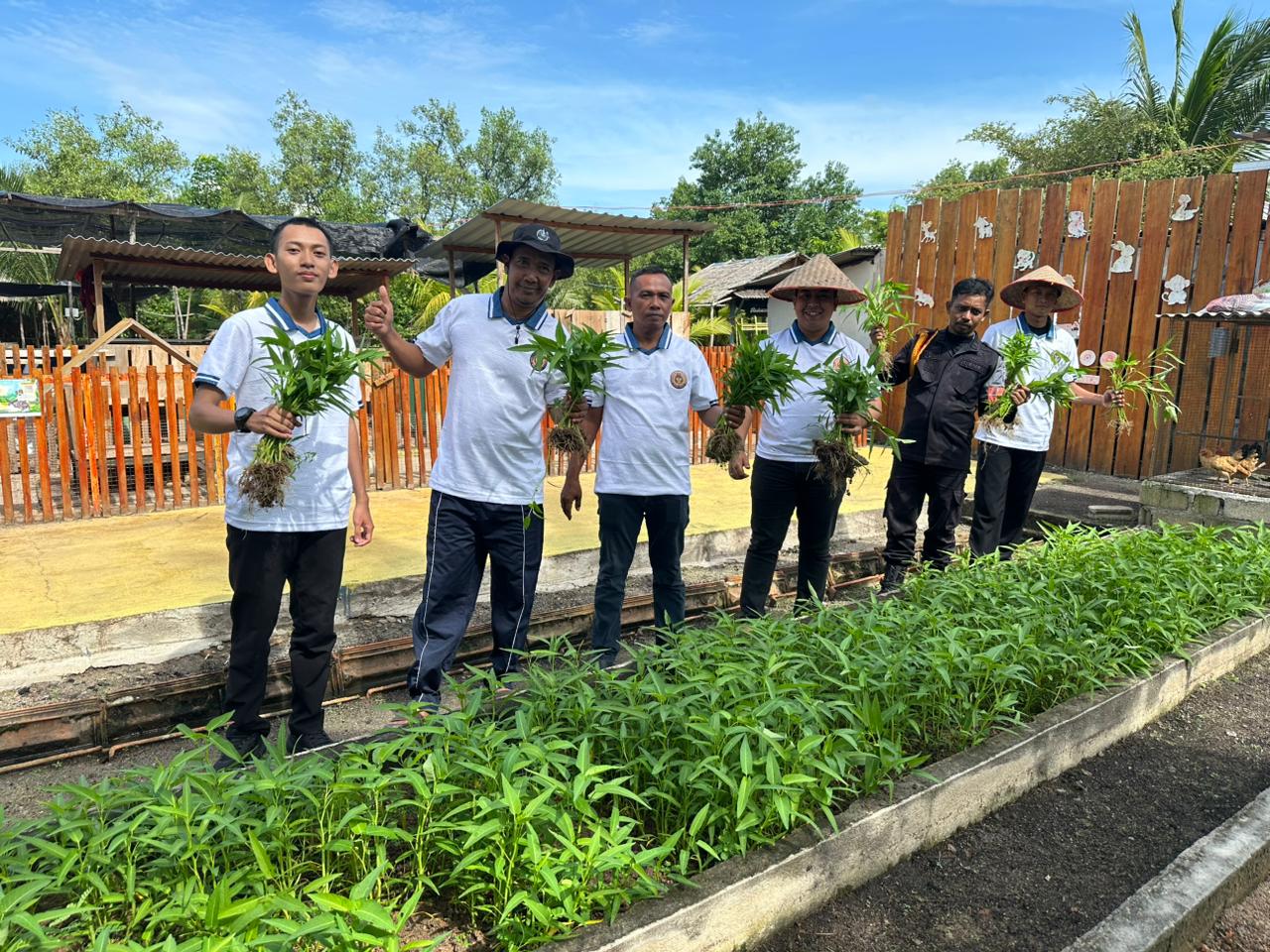 Rutan Karimun Hasilkan 180 Kg Kangkung dari Program Pembinaan WBP