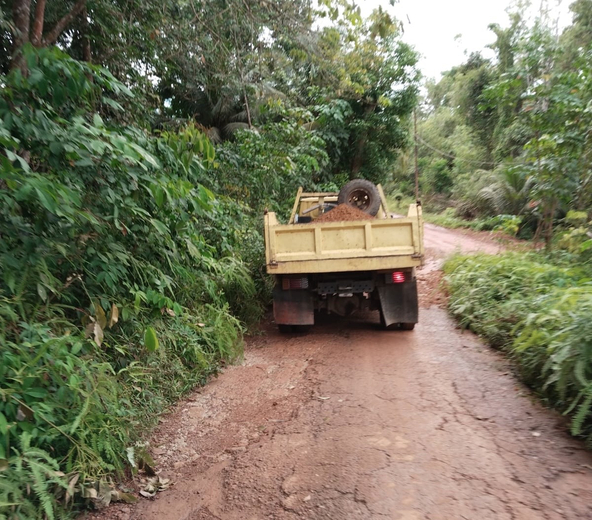 Aktivitas Galian Tanah di Setajam Diduga Tak Berizin, Libatkan Pengusaha Dealer Motor