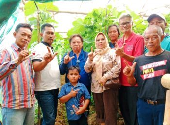 APIKI–MIO Indonesia Turun ke Daerah, Perkuat Ketahanan Pangan Berbasis Pertanian Organik