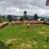 Perkemahan ATTA’AWUN CAMP Latih Kedisiplinan dan Semangat Bersaing Siswa MTs