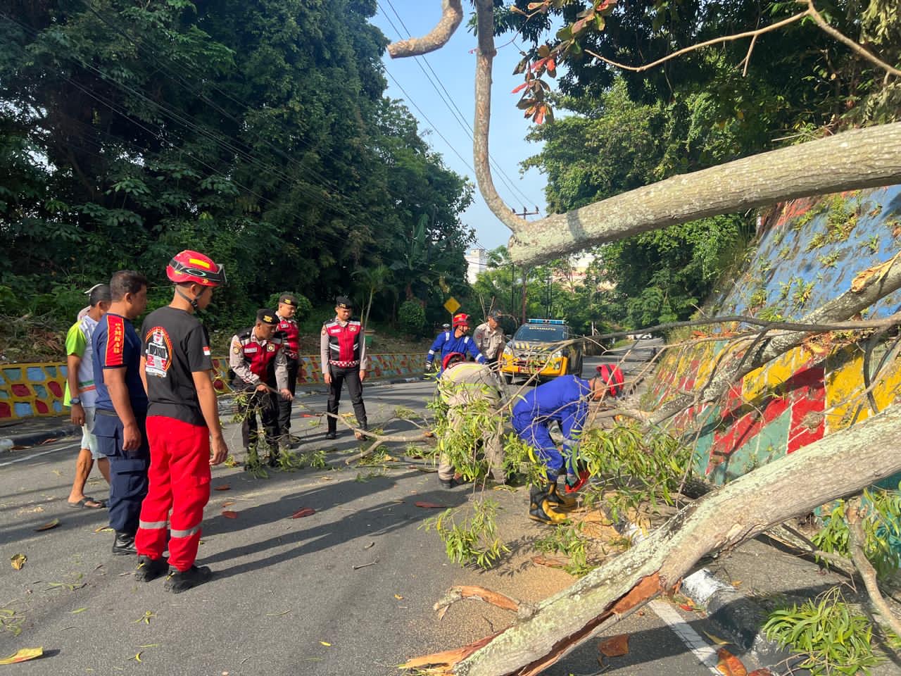 Mobil Tertimpa Pohon di Karimun, Sat Samapta Polres Lakukan Penanganan Cepat