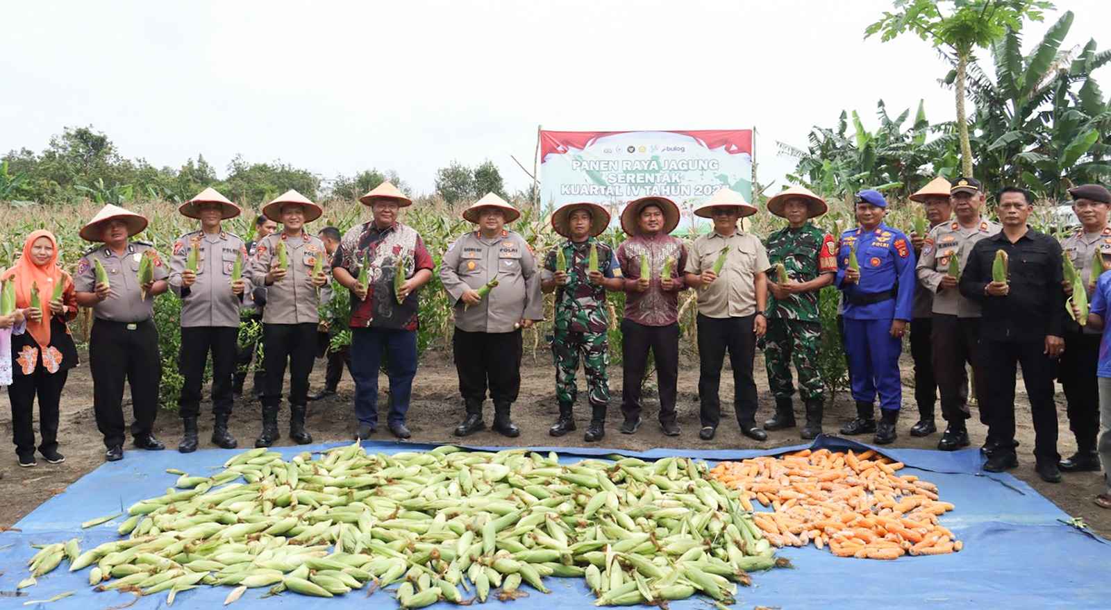 Polres Belitung Laksanakan Panen Raya Jagung Serentak Kuartal IV Tahun 2025