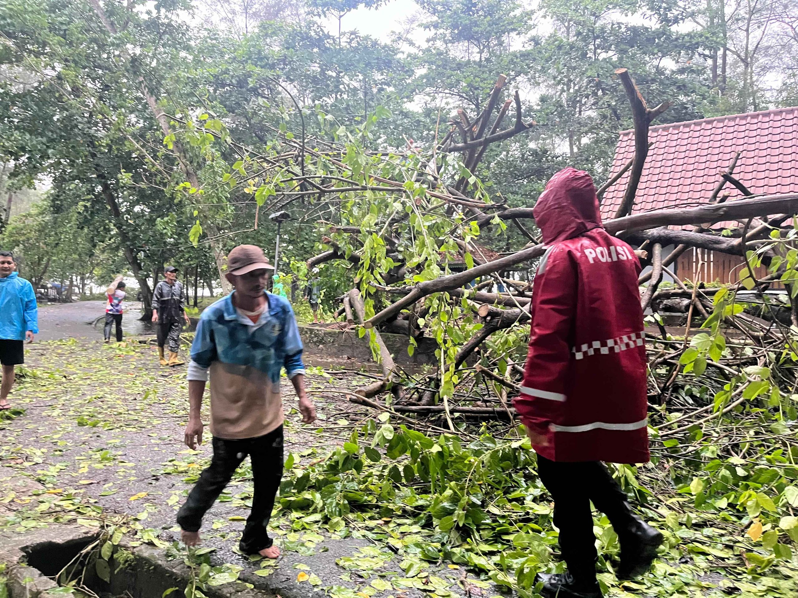 Sat Samapta Polres Belitung Patroli Saat Cuaca Ekstrem, Turun Langsung Evakuasi Pohon Tumbang di Pantai Tanjung Pendam
