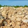 KAKI Soroti Dugaan Masuknya Limbah B3 Asal Singapura ke Karimun