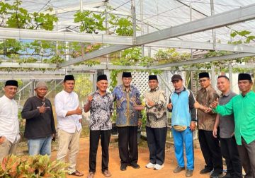 Disela Reses, Ismeth Abdullah Apresiasi Kebun Anggur Warga di Tembeling