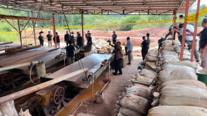 Bareskrim Polri dan Polda Babel Gerebek Lokasi Pengelolaan Pasir Timah Ilegal Di Beltim