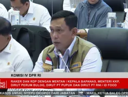 Bulog Perkuat Rantai Pasok, Gandeng Swasta untuk Serap dan Salurkan Beras