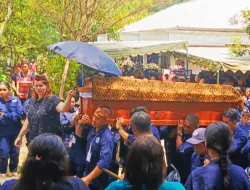 Duka Kalimantan untuk Prof. Birutė Mary Galdikas: Dari Masyarakat Adat hingga Pemerintah, Penghormatan Mengalir Penuh Empati