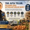700 Juta Telur: Peluang atau Ketergantungan Baru?