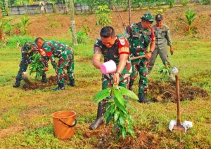 Tanam 1.000 Pohon di Penjaringan, Upaya Nyata Jaga Lingkungan Pesisir