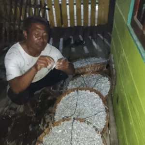 Nelayan Desa Posek Panen 40 Kintau Ikan Bilis dalam Semalam