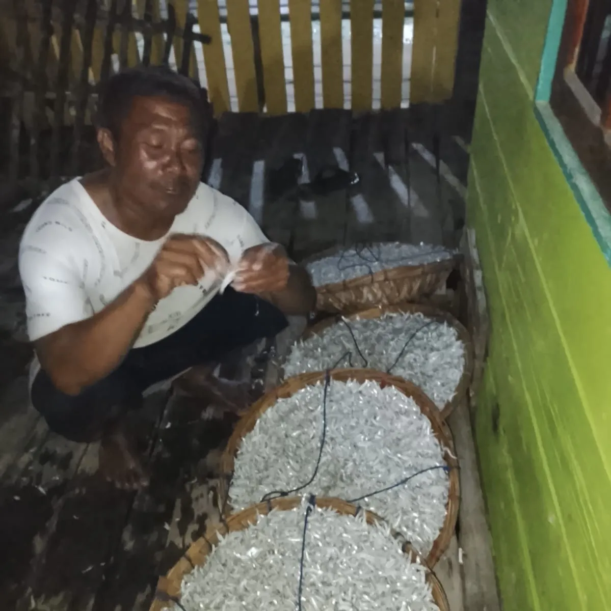 Nelayan Desa Posek Panen 40 Kintau Ikan Bilis dalam Semalam