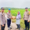 Sentuhan Humanis Polisi di Singkep Barat, Buruh Tani Terima Sembako di Hari Buruh