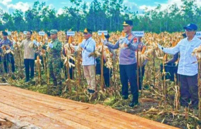 Gubernur Agustiar Sabran Apresiasi Panen Raya Jagung, Dorong Kalteng Perkuat Swasembada Pangan