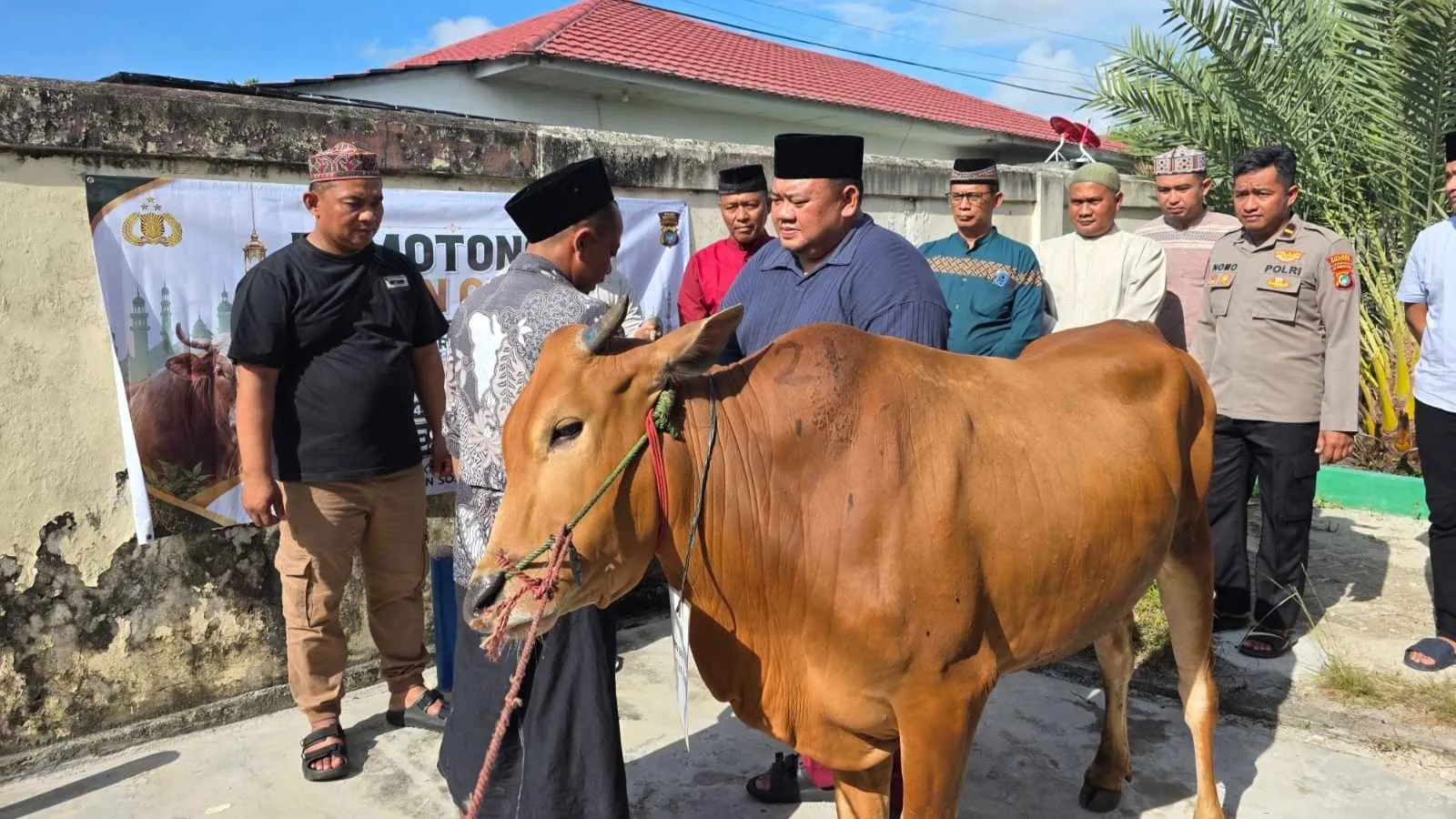 Polres Belitung laksanakan pemotongan hewan qurban 9 ekor sapi dan 3 ekor kambing pada Hari Raya Idul Adha 1447 H