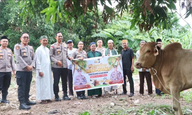 Polres Karimun Salurkan Sapi Kurban Kapolda Kepri dan Kapolres untuk Warga