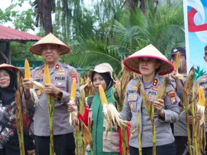 Panen Raya Jagung Serentak, Polres Karimun Perkuat Ketahanan Pangan Nasional