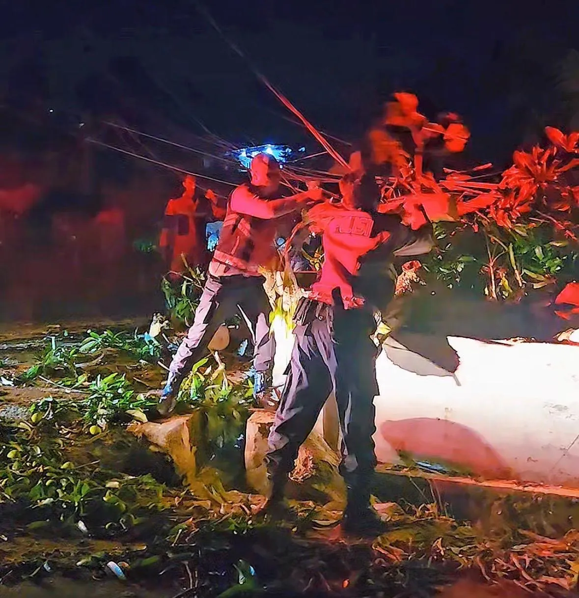 Pohon Tumbang Tutup Jalan di Bukit Sidomulyo, Polisi Gerak Cepat Lakukan Evakuasi