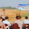 Polres Purwakarta Gelar Panen Raya Jagung di Cikumpay