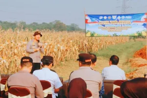 Polres Purwakarta Gelar Panen Raya Jagung di Cikumpay