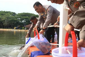 Kapolda Babel Kembali Tebar Ribuan Ikan Dikolam Bhaypark Jelang Lomba Mancing 2026