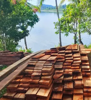 Kayu Diduga Hasil Pembalakan Liar Menumpuk di Marok Tua, Publik Menanti Ketegasan Aparat