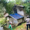 Cuaca Ekstrem Terjang Lingga, Pohon Tumbang Timpa Rumah Warga di Bukit Abun