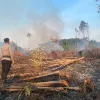 Personel Polsek Singkep Barat Padamkan Kebakaran Lahan, Cegah Api Meluas