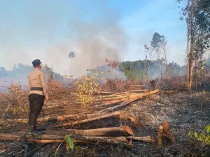 Personel Polsek Singkep Barat Padamkan Kebakaran Lahan, Cegah Api Meluas