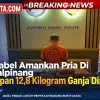 Polda Babel Amankan Pria Di Pangkalpinang Usai Simpan 12,8 Kilogram Ganja Dirumah