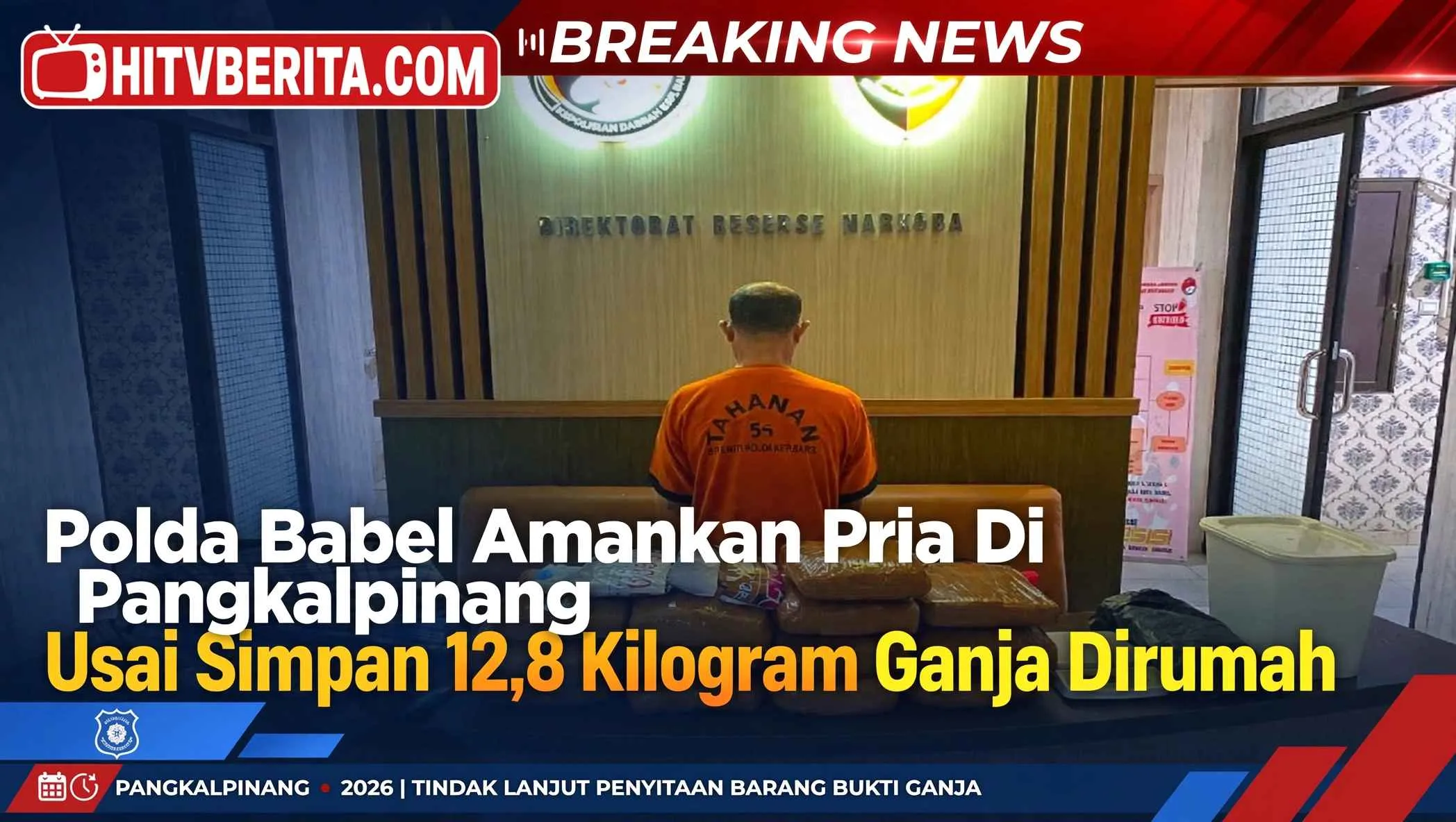 Polda Babel Amankan Pria Di Pangkalpinang Usai Simpan 12,8 Kilogram Ganja Dirumah
