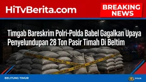 Timgab Bareskrim Polri-Polda Babel Gagalkan Upaya Penyelundupan 28 Ton Pasir Timah Di Beltim
