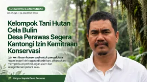 Kelompok Tani Hutan Cela bulin Desa Perawas Segera Kantongi Izin Kemitraan Konservasi
